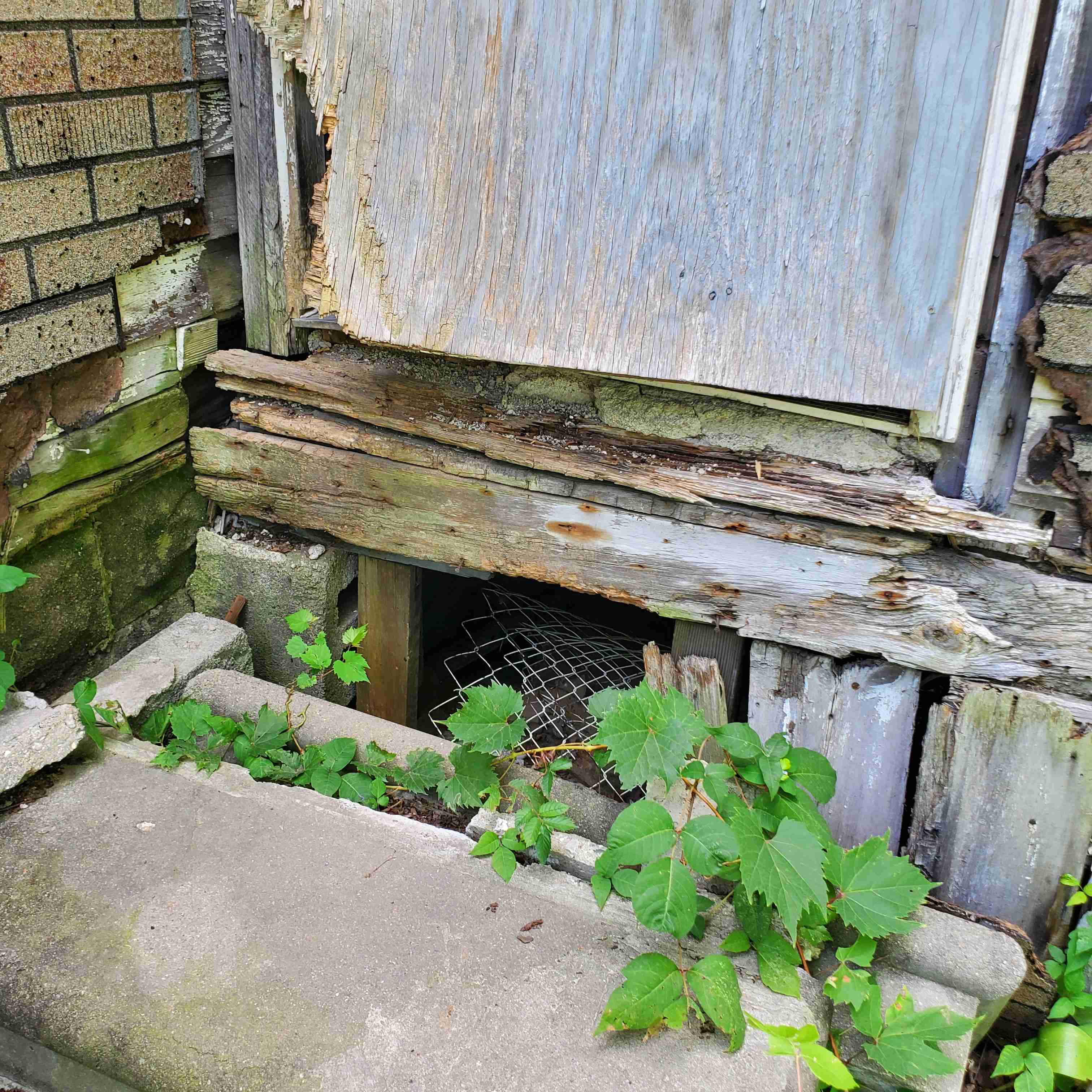 20200812_152012 (2).jpg